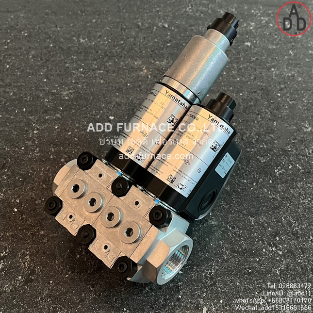 GSV-125R/LQ, GSV-125R/NQ (2)